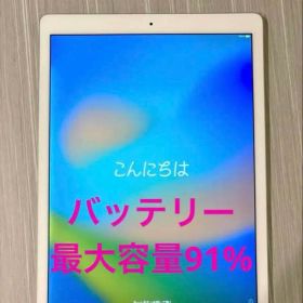 iPad Pro 12.9Wi-Fiモデル 512GB