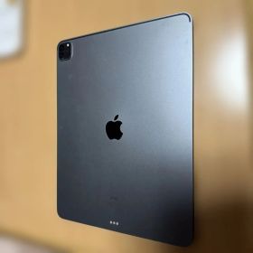 Apple iPad pro本体 12.9インチスペースグレー