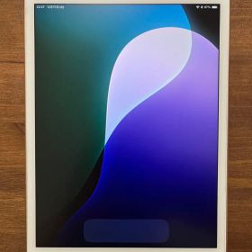 iPad mini 第5世代 64GB バッテリー最大容量89% ゴールド