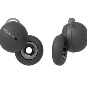 ソニー(SONY) 完全ワイヤレスイヤホン グレー WF-L900 HM