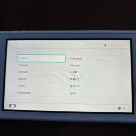 Nintendo Switch Lite ザシアン・ザマゼンタvr本体