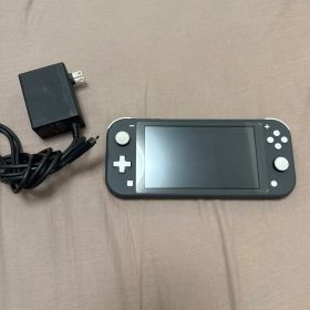 Nintendo Switch Lite グレー 充電器付き