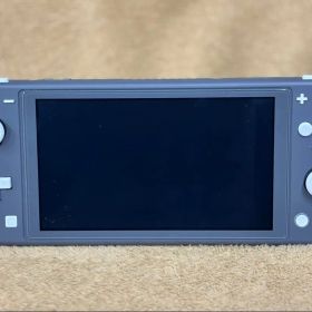 【ケース付】Nintendo Switch Lite グレー 保護ガラス貼付