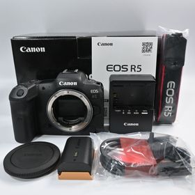 Canon EOS R5 ボディ ショット数 10000以下(ミラーレス一眼)