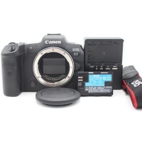 キヤノン(Canon)のショット数39000枚以下！ CANON EOS R5 ボディ(ミラーレス一眼)