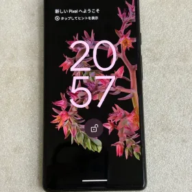 Google Pixel 6 新品¥34,000 中古¥14,300 | 新品・中古のネット最安値