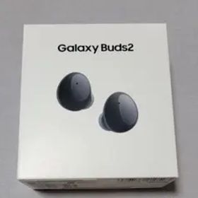 Samsung Galaxy Buds2 Graphite
