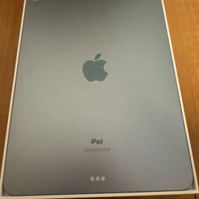 【美品】iPad Air 第4世代 Wi-Fi 256GB スペースグレイ 本体