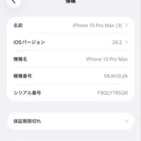 iPhone 13 Pro Max（1テラバイト） 本体
