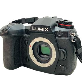 Panasonic LUMIX DC-G9 G9 Pro ルミックス ミラーレス 一眼レフ カメラ ボディ パナソニック 中古C10732784
