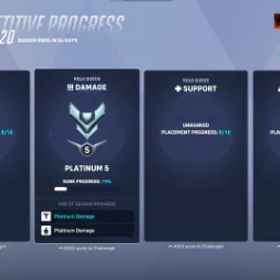 プラチナ 5 ダメージ