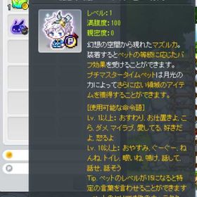 磁石ペット マズルカ チャレンジャーズワールド | メイプルストーリーのアカウントデータ、RMTの販売・買取一覧