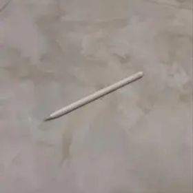 Apple Pencil 第2世代 動作確認済