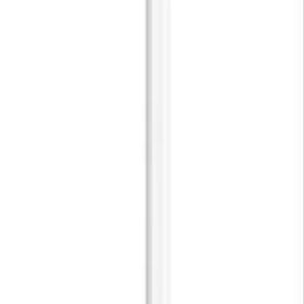 アップル Apple Apple Pencil（第2世代）（箱あり）