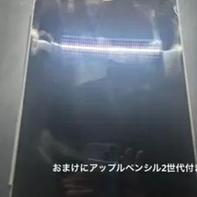iPadpro11インチ 2世代 アップルペンシル2世代付き