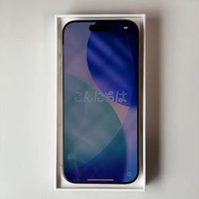 iPhone 16 Pro256GBシルバー / Aランク美品 / SIMフリー