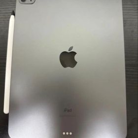 iPad Pro 11インチ 第2世代 128G 本体