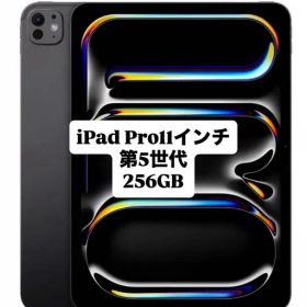 iPad Pro 11インチ 第5世代 M4チップ 2024年モデル