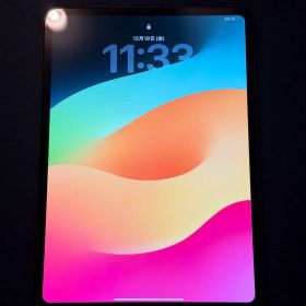 iPad Pro 11インチ M4 Wi-Fiモデル 256GB