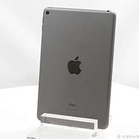 iPad mini 第5世代 256GB スペースグレイ MUU32J／A Wi-Fi ［7.9インチ液晶／A12 Bionic］