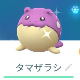 色違いタマザラシ ホリデータマザラシ トレード | ポケモンGOのアカウントデータ、RMTの販売・買取一覧