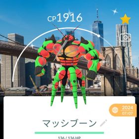 激レア！✨✨色違いマッシブーン背景付き！🎉🎉 | ポケモンGOのアカウントデータ、RMTの販売・買取一覧