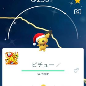 《非対面トレード》✨色違いピチュウサンタ帽子・🇯🇵国内産 | ポケモンGOのアカウントデータ、RMTの販売・買取一覧