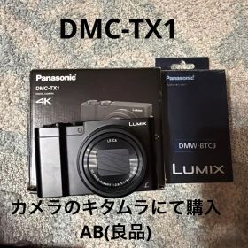 LUMIX DMC-TX1