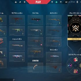 引退垢 | VALORANT(ヴァロラント)のアカウントデータ、RMTの販売・買取一覧