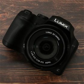 Panasonic Lumix FZ85 ブラック DC-FZ85 #6594