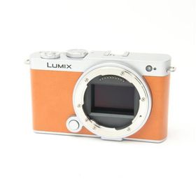 《美品》Panasonic LUMIX S9 ボディ DC-S9