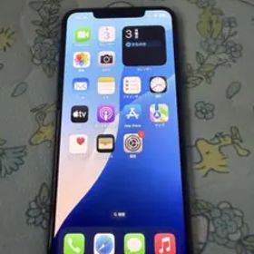 Apple iPhone 11 Promax 本体