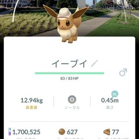 サファリ帽子イーブイ 背景ブエノスアイレス | ポケモンGOのアカウントデータ、RMTの販売・買取一覧