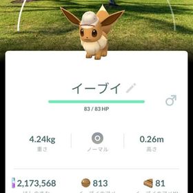 サファリ帽子イーブイ 背景マイアミ | ポケモンGOのアカウントデータ、RMTの販売・買取一覧