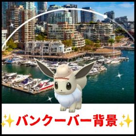 28⭐️PTC⭐️バンクーバー背景色違いイーブイ | ポケモンGOのアカウントデータ、RMTの販売・買取一覧