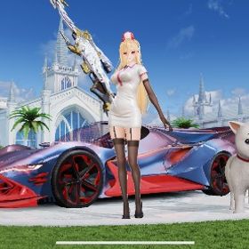 殿堂4個👑殿堂車🏆キルボスキン豊富🏆豪華限定盤ナンプレ | 荒野行動のアカウントデータ、RMTの販売・買取一覧