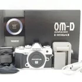 C171714-1)OLYMPUS OM-D E-M5 Mark III ミラーレス一眼レフ ボディー