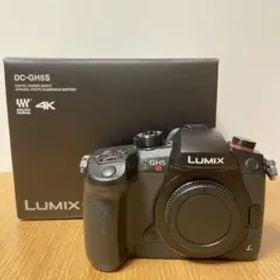 LUMIX DC-GH5S