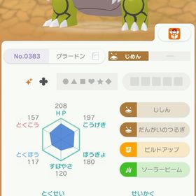 ウルトラ色グラードン&色カイオーガ | ポケモン剣盾(ソードシールド)のアカウントデータ、RMTの販売・買取一覧