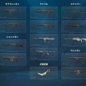 🔥人気スキン所持引退アカウント🔴ファーストオーナー‼️ | VALORANT(ヴァロラント)のアカウントデータ、RMTの販売・買取一覧