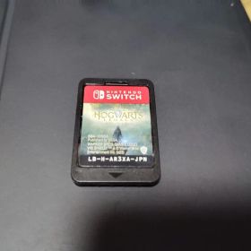 Hogwarts Legacy Nintendo Switch カートリッジ