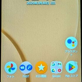 arrows We FCG01 本体^⁠_⁠^機種不良あり