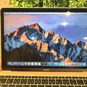 充放電150回 【美品】MacBook 2017年モデル A1534 256GB