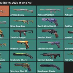 🔥【アジア太平洋】☢️23 スキン⚔️ナイフ💎1 個 エージェント✨16 VP👑職人の信仰 100