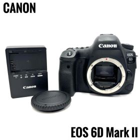 美品 Canon キャノン EOS 6D Mark II 2 ボディ