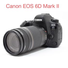 キヤノン(Canon)のデジタル一眼レフカメラCanon EOS 6D Mark II 望遠レンズセット(デジタル一眼)