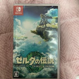 ゼルダの伝説 ティアーズ オブ ザ キングダム