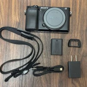 ソニー ミラーレス一眼カメラ α6100 +純正充電器・バッテリー