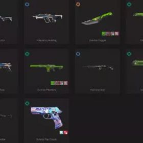 💥 アジア太平洋 💥 ランク参加可能 💥 16 スキン 💥 オリオン座 ヴァンダル 💥 周波数ブルドッグ💥周波数バッキー💥 オーバーレイ ファントム 💥 オーバーレイダガー 💥