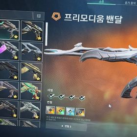 引退アカウント 18万課金 人気スキン多数 | VALORANT(ヴァロラント)のアカウントデータ、RMTの販売・買取一覧